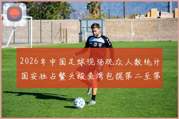 2026年中国足球现场观众人数统计国安独占鳌头梭鱼湾包揽第二至第七位