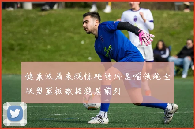 健康浓眉表现惊艳场均盖帽领跑全联盟篮板数据稳居前列